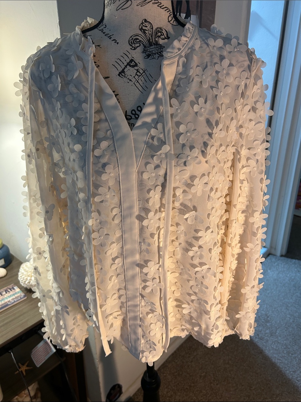 Ivory Floral Appliqué Sheer Blouse